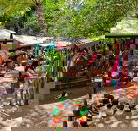 Kuranda Day Trip small group from Port Douglas by bus - Accommodation NT