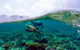 2-Day Whitsundays Sailing Adventure: Summertime - thumb 5