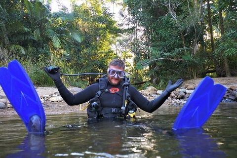 Rainforest Platypus Night Dive (Certified Divers Only Once Day Dive Completed) - Accommodation NT 10