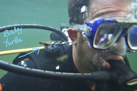 Rainforest Platypus Night Dive (Certified Divers Only Once Day Dive Completed) - Accommodation NT 4