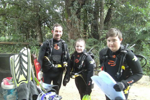 Rainforest Platypus Night Dive (Certified Divers Only Once Day Dive Completed) - Accommodation NT 8