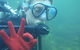 Rainforest Platypus Night Dive (Certified Divers Only Once Day Dive Completed) - thumb 5