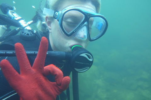 Rainforest Platypus Night Dive (Certified Divers Only Once Day Dive Completed) - Accommodation NT 5