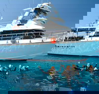 Great Barrier Reef Cruise from Townsville or Magnetic Island - Accommodation NT