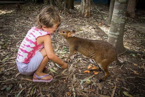Hartley's Crocodile Adventures Day Trip From Cairns - Accommodation NT 1