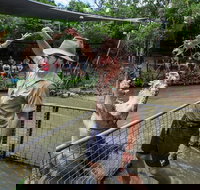 Hartley's Crocodile Adventures Day Trip from Cairns - Accommodation NT