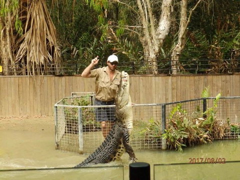Hartley's Crocodile Adventures Day Trip From Cairns - Accommodation NT 2