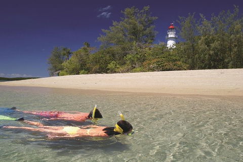 Wavedancer Low Isles Great Barrier Reef Sailing Cruise From Palm Cove - Accommodation NT 0