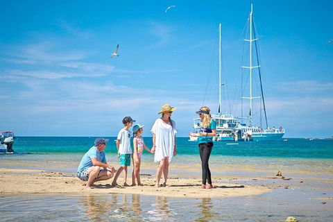 Wavedancer Low Isles Great Barrier Reef Sailing Cruise From Palm Cove - Accommodation NT 3