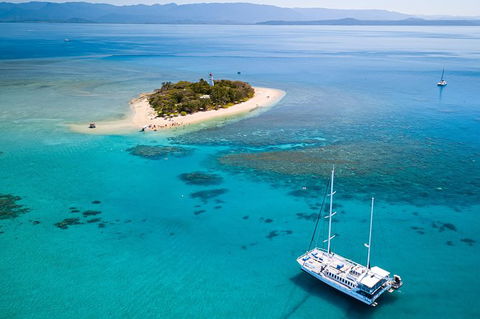 Wavedancer Low Isles Great Barrier Reef Sailing Cruise From Palm Cove - Accommodation NT 7