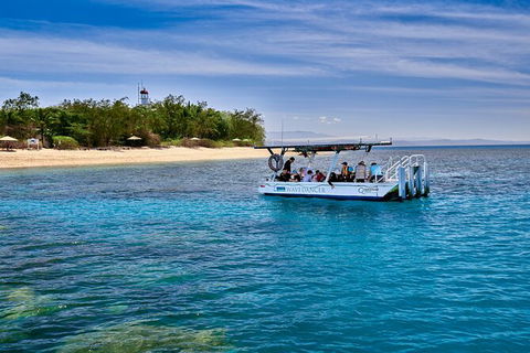 Wavedancer Low Isles Great Barrier Reef Sailing Cruise From Palm Cove - Accommodation NT 8