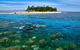Wavedancer Low Isles Great Barrier Reef Sailing Cruise From Palm Cove - thumb 9