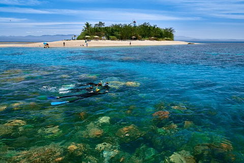 Wavedancer Low Isles Great Barrier Reef Sailing Cruise From Palm Cove - Accommodation NT 9