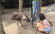 Wildlife Habitat Port Douglas - thumb 2