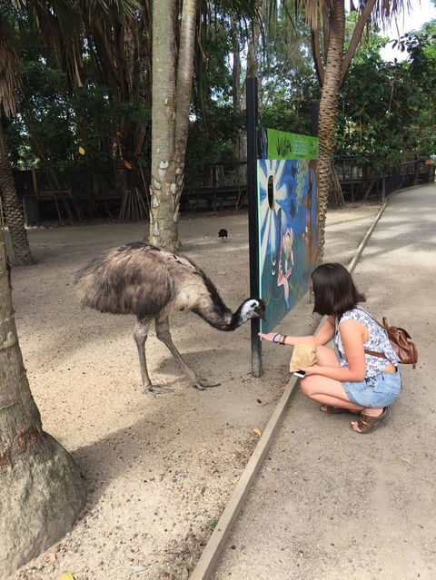 Wildlife Habitat Port Douglas - Accommodation NT 2