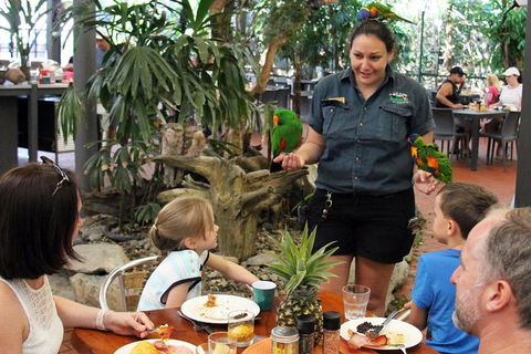 Wildlife Habitat Port Douglas - Accommodation NT 11