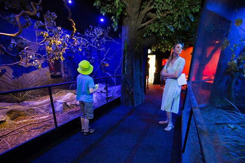 Wildlife Habitat Port Douglas - Accommodation NT 14