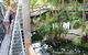 Wildlife Habitat Port Douglas - thumb 9