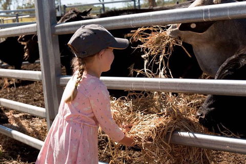 Mackay Farm Food And Flavours Tour - Accommodation NT 0