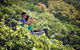 Conway National Park Coral Beach Walk Including Shute Harbour From Airlie Beach - thumb 0
