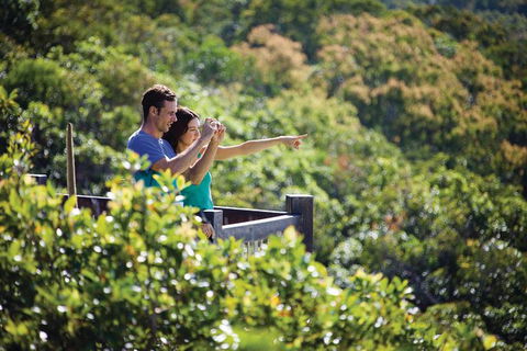 Conway National Park Coral Beach Walk Including Shute Harbour From Airlie Beach - Accommodation NT 0