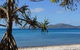 Conway National Park Coral Beach Walk Including Shute Harbour From Airlie Beach - thumb 1
