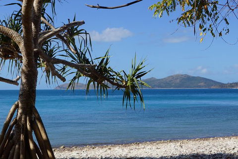 Conway National Park Coral Beach Walk Including Shute Harbour From Airlie Beach - Accommodation NT 1