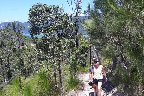 Scenic Guided Walk Up Mt Rooper For Best Whitsunday Views From Airlie Beach - Accommodation NT 1