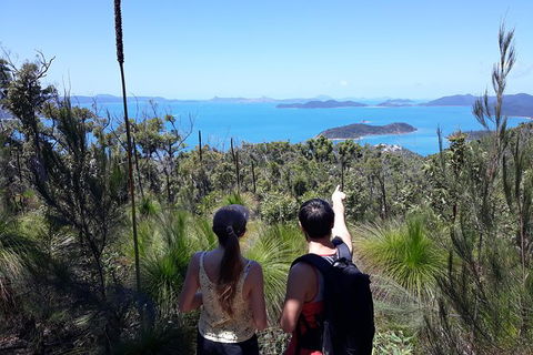 Scenic Guided Walk Up Mt Rooper For Best Whitsunday Views From Airlie Beach - Accommodation NT 0