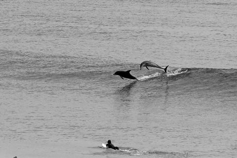 Overnight Tweed Coast Camping And Surfing Getaway From The Gold Coast - Accommodation NT 2