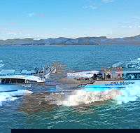 Whitsunday Island Boat Adventure - Accommodation NT