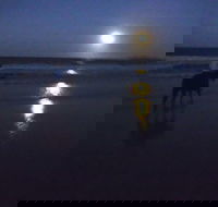 Full Moon Horse Ride at Rainbow Beach - Accommodation NT