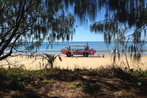 1770 Coastline Tour By LARC Amphibious Vehicle Including Picnic Lunch - Accommodation NT 2