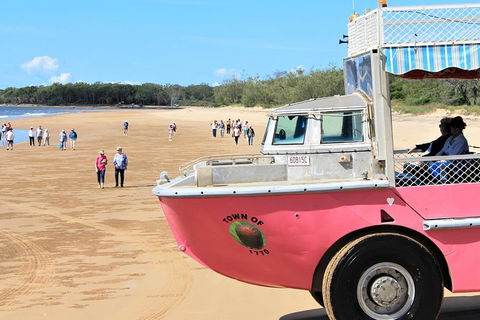 1770 Coastline Tour By LARC Amphibious Vehicle Including Picnic Lunch - Accommodation NT 8