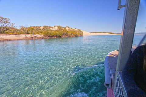 1770 Coastline Tour By LARC Amphibious Vehicle Including Picnic Lunch - Accommodation NT 12
