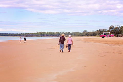 1770 Coastline Tour By LARC Amphibious Vehicle Including Picnic Lunch - Accommodation NT 3