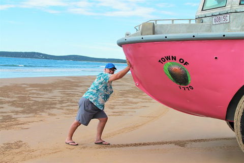 1770 Coastline Tour By LARC Amphibious Vehicle Including Picnic Lunch - Accommodation NT 7