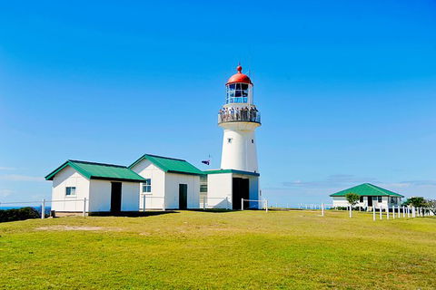 Full-Day 1770 Tour By LARC Amphibious Vehicle Including Sandboarding And Bustard Head Lightstation - Accommodation NT 0