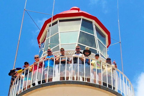 Full-Day 1770 Tour By LARC Amphibious Vehicle Including Sandboarding And Bustard Head Lightstation - Accommodation NT 4