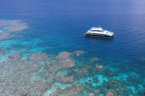 Calypso Outer Great Barrier Reef Cruise From Port Douglas - Accommodation NT 1