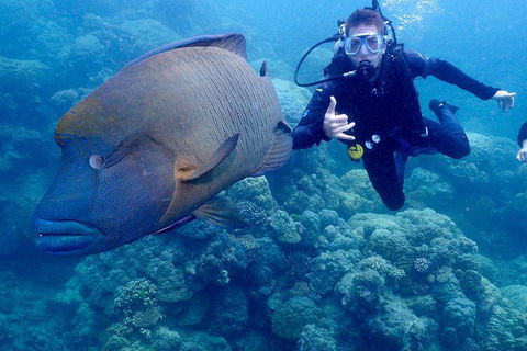 Calypso Outer Great Barrier Reef Cruise From Port Douglas - Accommodation NT 6