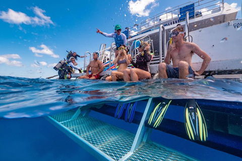 Calypso Outer Great Barrier Reef Cruise From Port Douglas - Accommodation NT 4