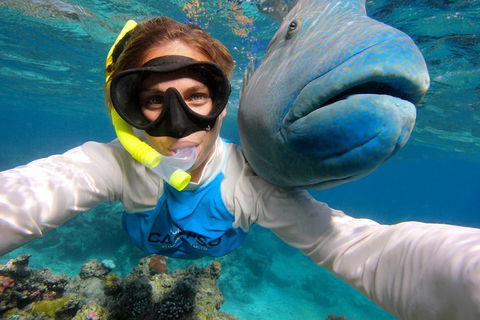 Calypso Outer Great Barrier Reef Cruise From Port Douglas - Accommodation NT 5