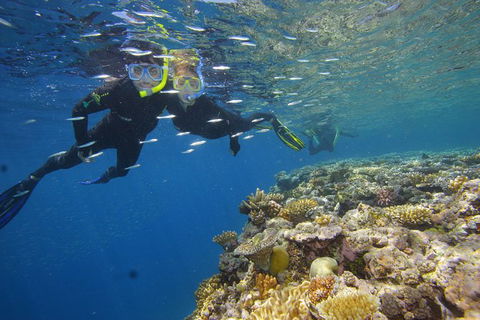 Calypso Outer Great Barrier Reef Cruise From Port Douglas - Accommodation NT 3