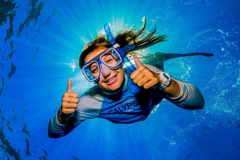 Calypso Outer Great Barrier Reef Cruise From Port Douglas - Accommodation NT 2