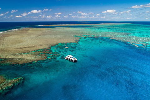 Calypso Outer Great Barrier Reef Cruise From Port Douglas - Accommodation NT 12