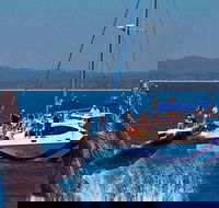 Blue Dolphin Exclusive Whale Watch Encounters - Accommodation NT