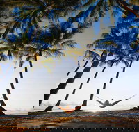 Port Douglas and Hartley's Crocodile Adventure Day Trip from Cairns - Accommodation NT