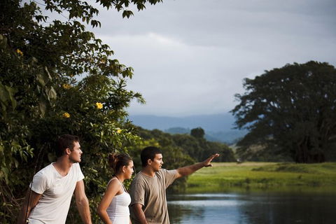 Sightseeing Tour - Half Day - Accommodation NT 3