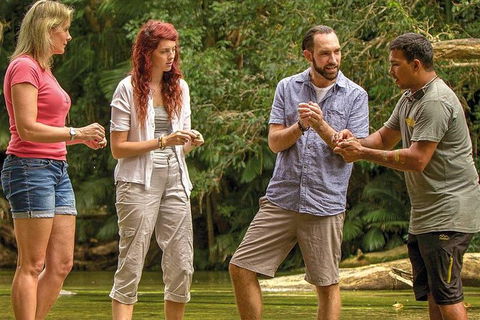 Sightseeing Tour - Half Day - Accommodation NT 4
